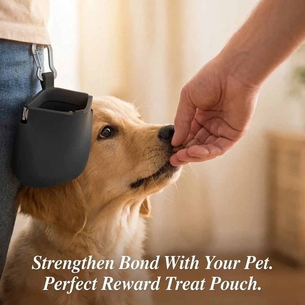 Silicone Dog Treat Pouch (Waterproof, Oil-Resistant, Wipe-Clean)