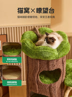 Solid Wood Jungle Cat Tree with Scratching Board