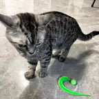 Fluffy Tail Bouncy Ball Cat Teaser Toy — Elastic Simulation Prey Bite Tool