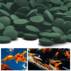 Tropical Fish Spirulina Pellet Tablets (50–650pcs, High Protein, Blended Nutrition Diet)