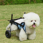 Adjustable Dog Wheelchair (Hind Leg Support, Breathable, Rehabilitation)