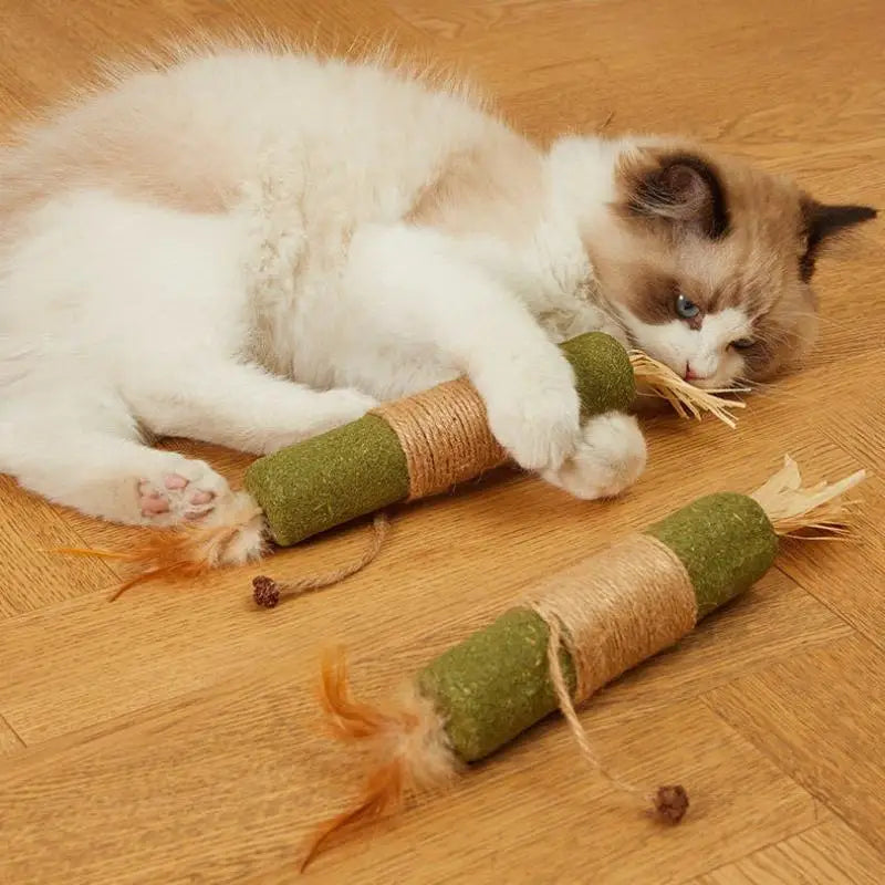 Natural Wood Knotweed Cat Teething Stick Set with Raffia & Sisal Rope