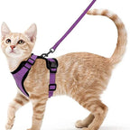 Anti-Escape Kitten Harness & Traction Belt — Lightweight Breathable Soft Vest for Walking Small Cats