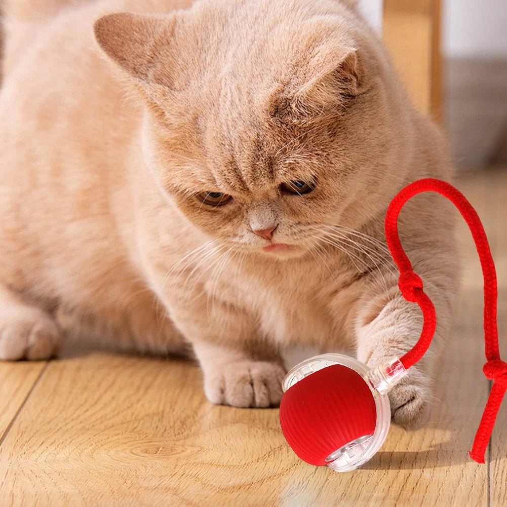 Auto Bouncing Ball Cat Toy with Rope — Type-C Rechargeable Motion-Activated 3-Mode Interactive Toy