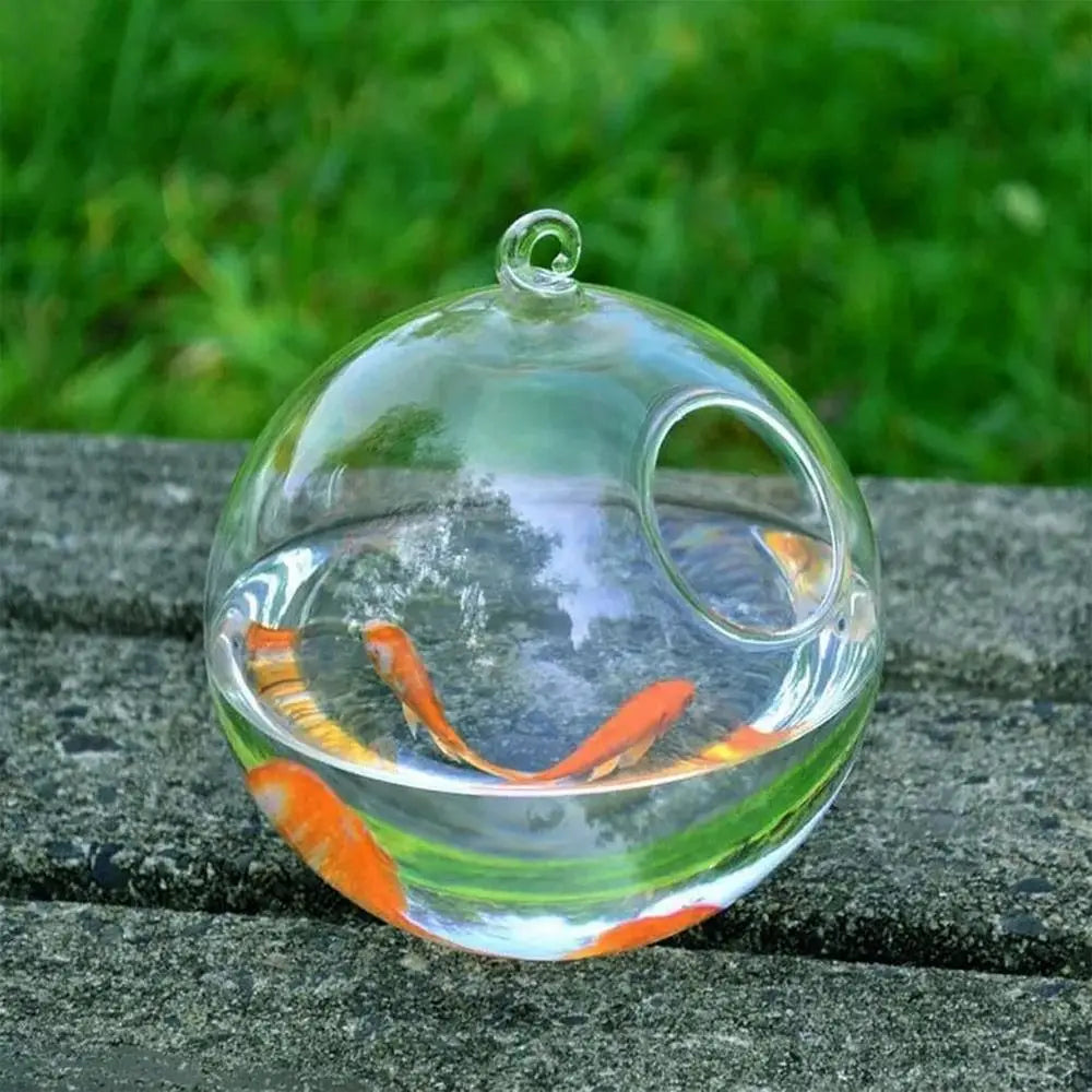 Hanging Glass Fish Bowl Vase (Round & Rectangle, Transparent, Wall-Mounted with Rack Holder)