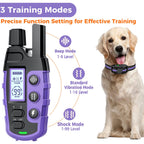1000m Waterproof Dog Training Collar with Remote