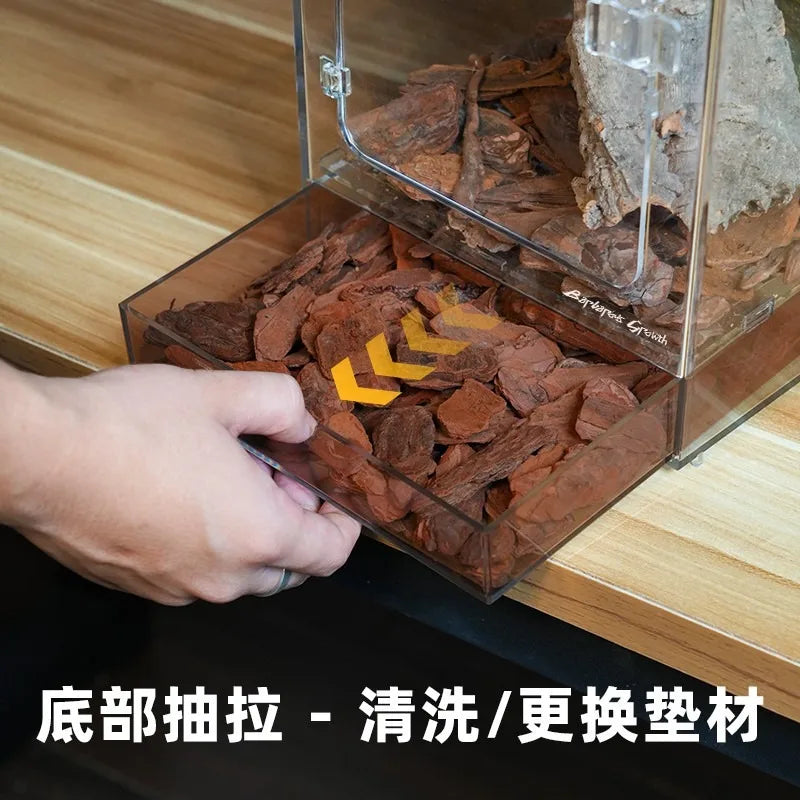 BG Grandfather Tree Frog Acrylic Glass Pet Snake Climbing Pet Terrarium Landscaping Gecko Front-Opening Climbing Tank