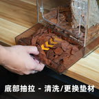 BG Grandfather Tree Frog Acrylic Glass Pet Snake Climbing Pet Terrarium Landscaping Gecko Front-Opening Climbing Tank