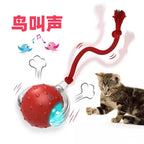 Smart Self-Rolling Ball Cat Toy — Bite-Resistant Interactive Boredom Relief