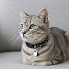 Adjustable Cat Collar with Quick-Release Safety Buckle — Cat Face Pendant & Bell Anti-Lost Necklace