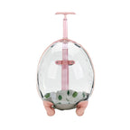 2026 Transparent Pet Luggage Large Capacity Handheld Pet Carrier Bag Portable Travel Cart for Cats Dogs
