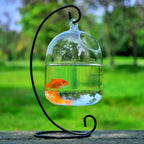 Hanging Glass Fish Bowl Vase (Round & Rectangle, Transparent, Wall-Mounted with Rack Holder)