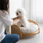 Bohemian Rattan Pet Bed with Cushion & Photo Prop (Round, Summer Cool)