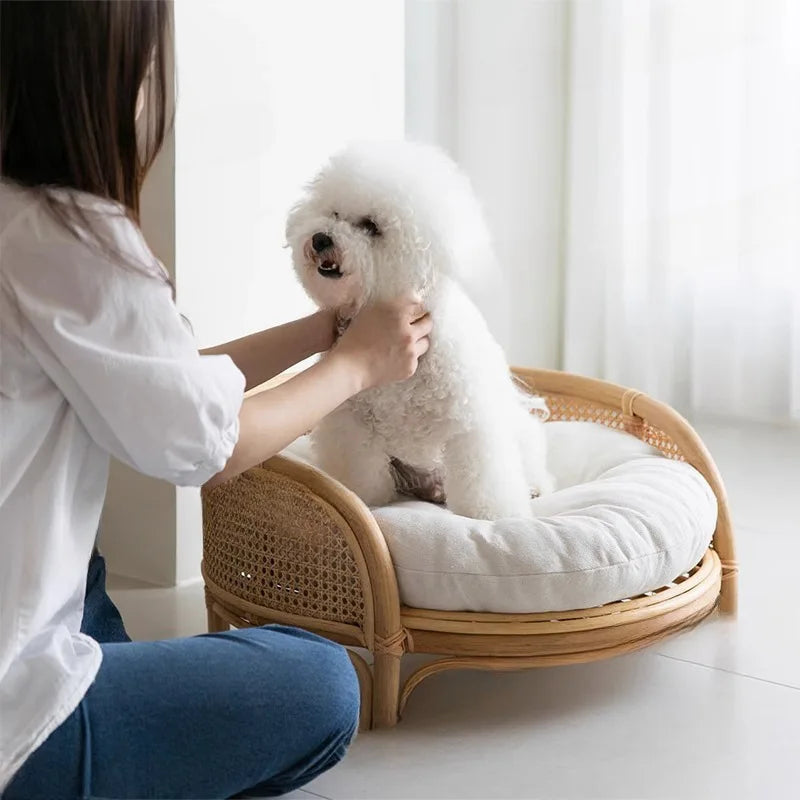 Bohemian Rattan Pet Bed with Cushion & Photo Prop (Round, Summer Cool)