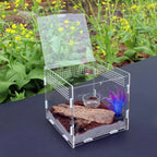 Clear Acrylic Reptile Feeding Box Stackable and Buckle Splicing Box for Scorpion Spider Frog