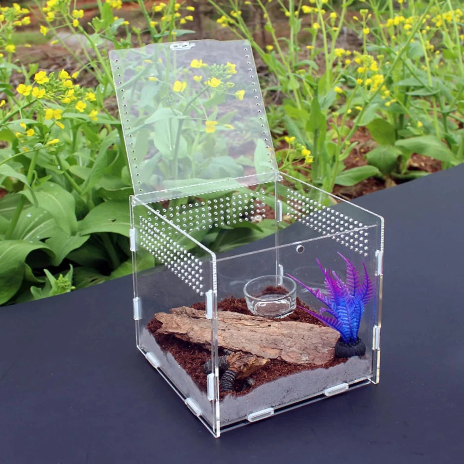Clear Acrylic Reptile Feeding Box Stackable and Buckle Splicing Box for Scorpion Spider Frog