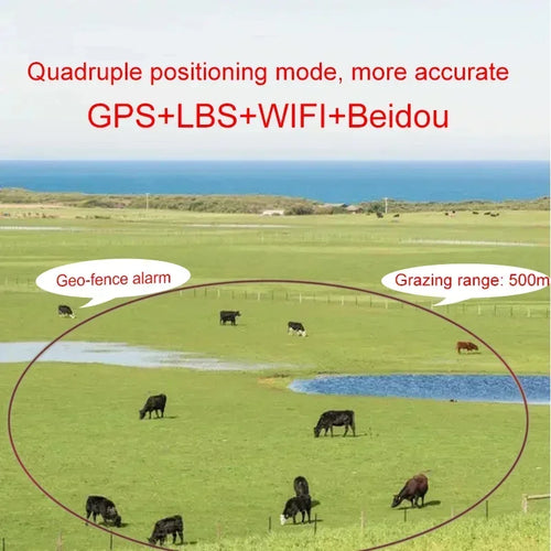 4G Solar Real-Time GPS Livestock Tracker for Cattle, Sheep, Horses & Camels - Waterproof Smart Animal Locator