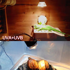 Reptile Lamp 25/50/75W UVA+UVB 3.0 Pet Heat Lamp Turtle Basking UV Light Bulbs Amphibian Sunlamp Heat Preservation Illumination