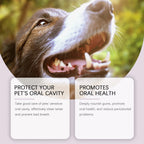 Pet Toothbrush Pen - A Teeth Cleaning Pen for Dogs & Cats to Remove Tartar, Calculus, Bad Breath and Oral Odor