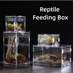 Durable Acrylic Reptile Habitat Anti-Escape Multiple Size Lizard Breeding Box Clear Arboreal Spider Feeding Case for Chameleon