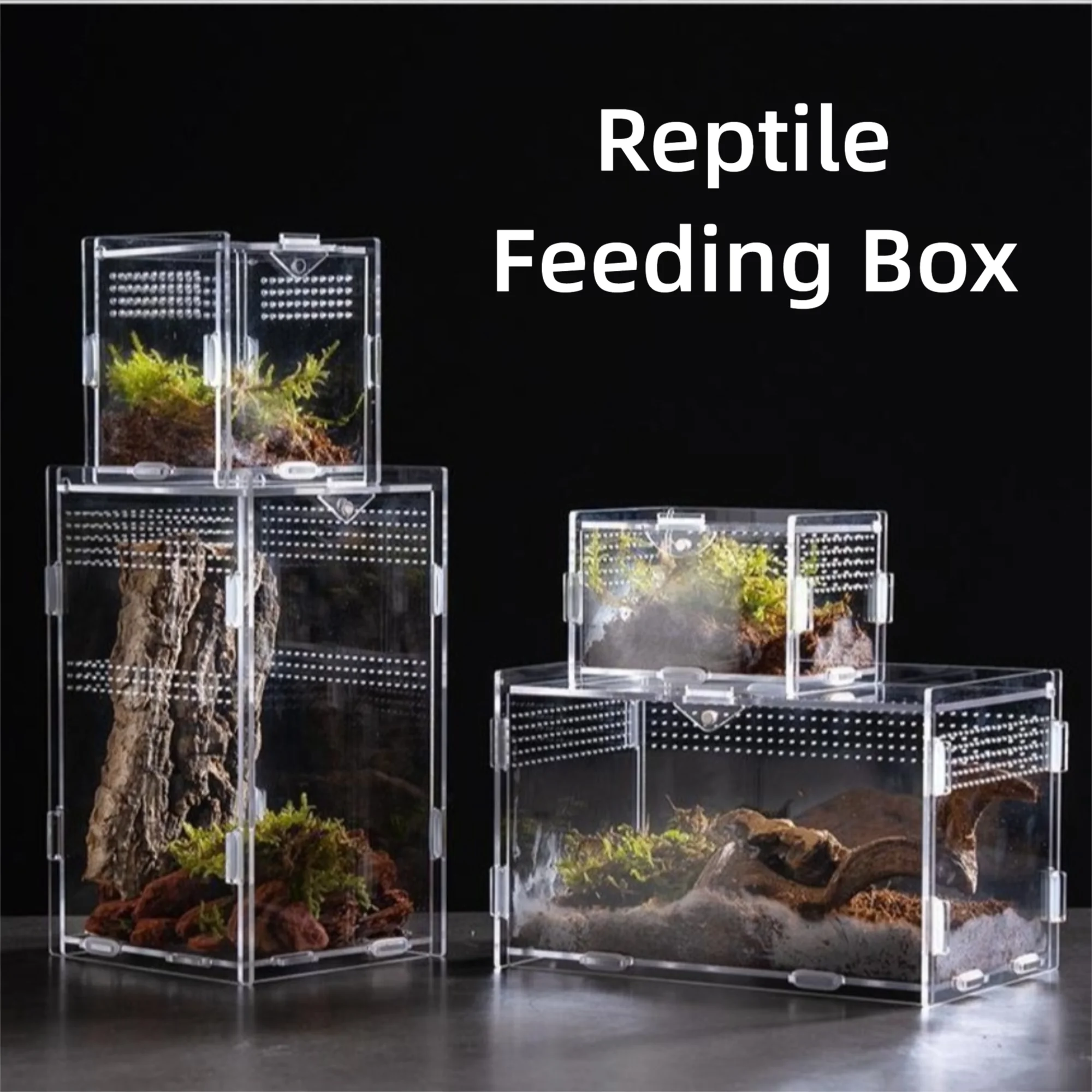 Durable Acrylic Reptile Habitat Anti-Escape Multiple Size Lizard Breeding Box Clear Arboreal Spider Feeding Case for Chameleon