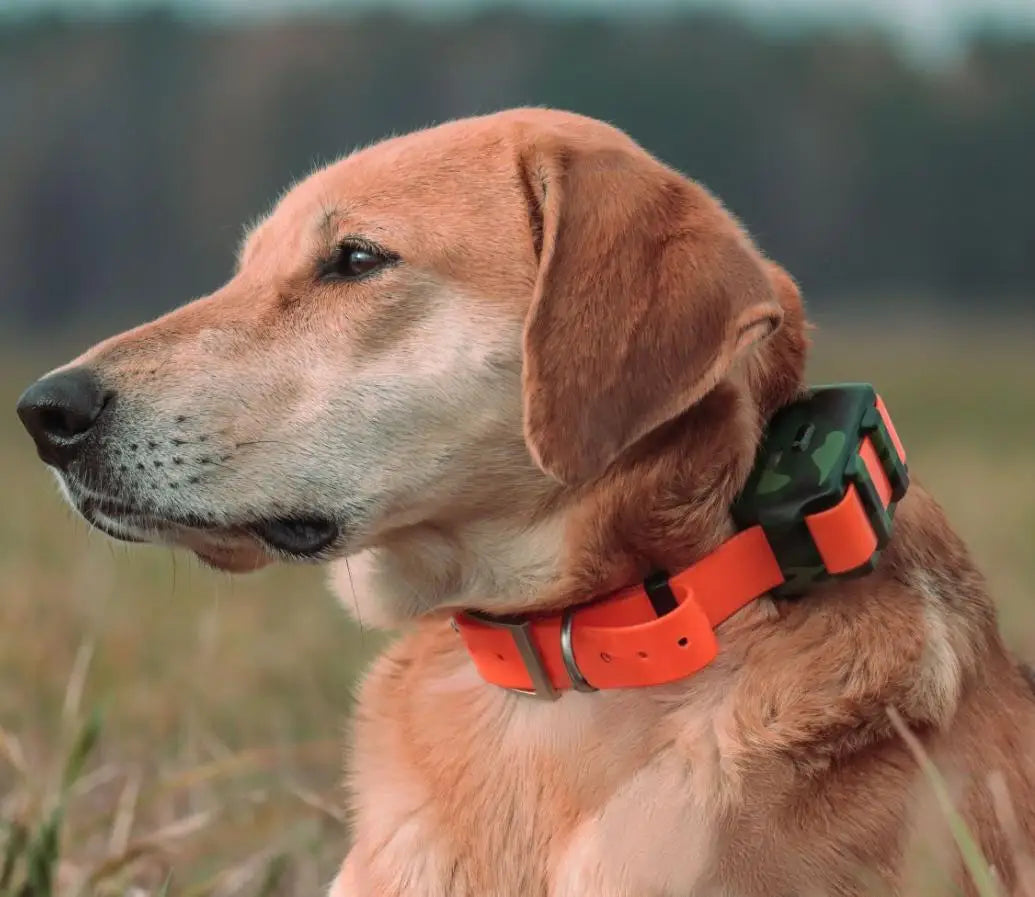 ICAR IK122M 4G IP68 Waterproof GPS Hunting Dog Collar Tracker - 2,000mAh Real-Time Locator