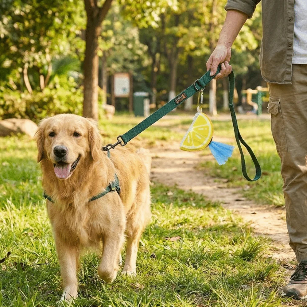 Watermelon Shape Pet Garbage Bag Dispenser Colorful with Hanging Ring Dog Poop Bag Case Portable Dog Garbage Bags Organizer Park