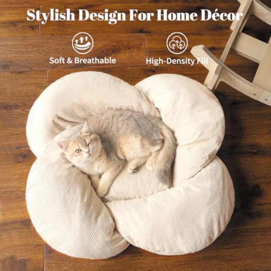 Elevated Wooden Cat Bed with Cushion for Indoor Cats & Small Dogs