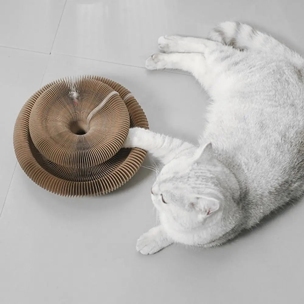 Wear-Resistant Cat Scratch Ball Board Toy — Transformable Crumb-Free Scratching Toy