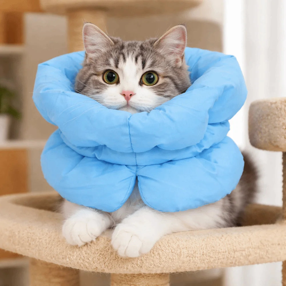 Waterproof Adjustable Cat Recovery Cone Collar — Warm Breathable Anti-Bite Elizabethan Pet Wound Protector
