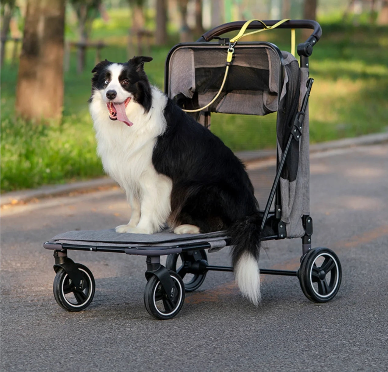 Comfortable Lightweight Acrylic Waterproof Breathable Durable Adjustable Secure Journeys Pet Stroller for Dogs Cats Small