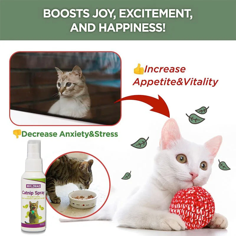 Catnip Behavior Spray for Cats (60ml)