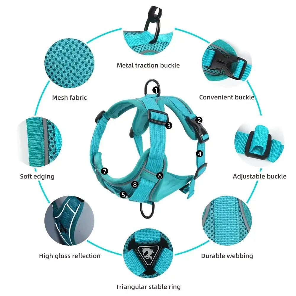 Escape-Proof Reflective Cat Harness & Leash Set