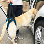 Portable Dog Recovery Sling Harness (Full Body Support, Breathable)