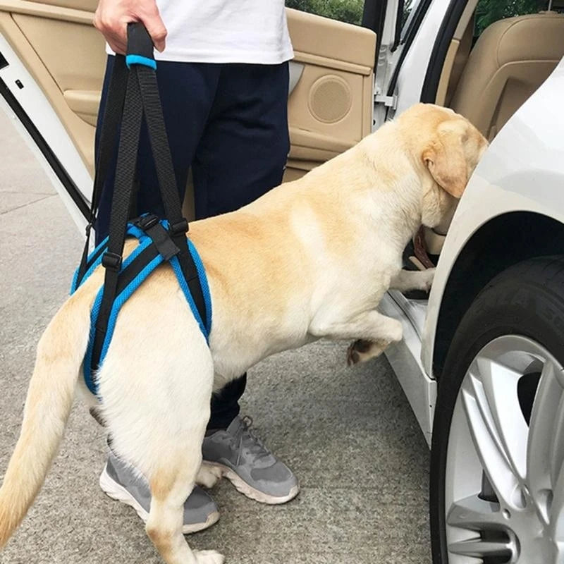 Portable Dog Recovery Sling Harness (Full Body Support, Breathable)
