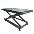 Veterinary Pet Stretcher Table, Multipurpose Surgery Bed