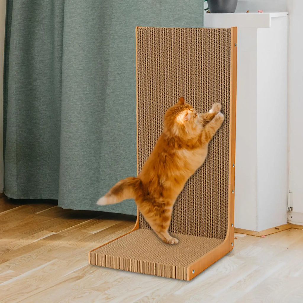 Large Cat Scratcher Nest Bed & Scratch Pad — Durable Indoor Cat Toy & Furniture