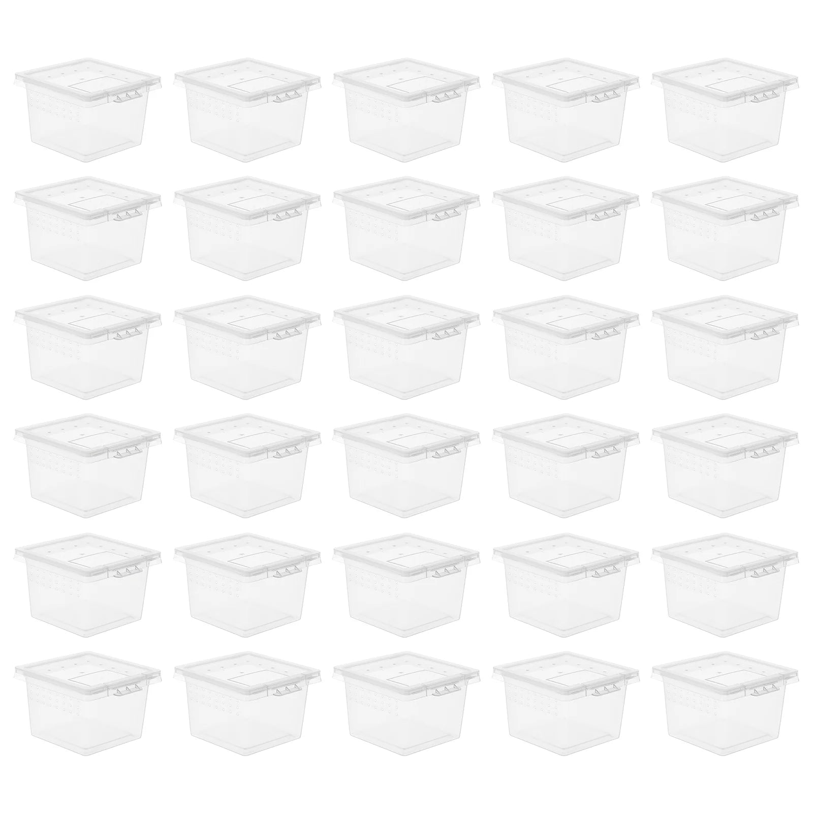 100 Pcs Pet Feeding Box Acrylic Terrarium Reptiles Lizard Spider Cage Kennel Animals Food Incubator Tank