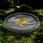 Black Plastic Material, Round and Hexagonal Reptile Lizard, Turtle Feeding Basin, Water Basin, Frog Bath Basin