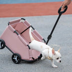 Dog Stroller 4 Wheels Folding Dog Cart Pet Stroller for Travelling Shopping Walking Playing for Small Dogs Cats Handcart