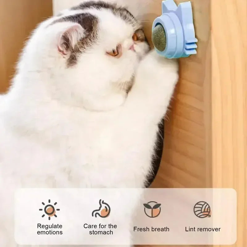 Natural Catnip Wall-Spin Ball Cat Toy — Mint Digestive & Dental Stimulator