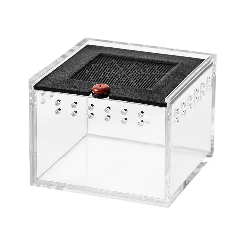 Pet Spider Box Reptile Crawling Pet Feeding Lizard Silkworm Baby Scorpion Unicorn Beetle Insect Pet House Black Acrylic Box