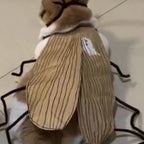 DIY Cat Cockroach Cosplay Dress-Up Kit — Creative Indoor Cat Toy Accessory Set