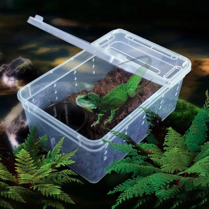 Y51B Portable Terrarium Habitat with Breathable Holes Mini Pet Houses for Spider for Frog Cricket for Turtle S