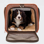 Rolling Pet Carrier Zippered Expandable Pet Carrier