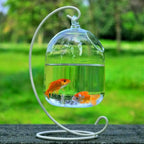 Hanging Glass Fish Bowl Vase (Round & Rectangle, Transparent, Wall-Mounted with Rack Holder)