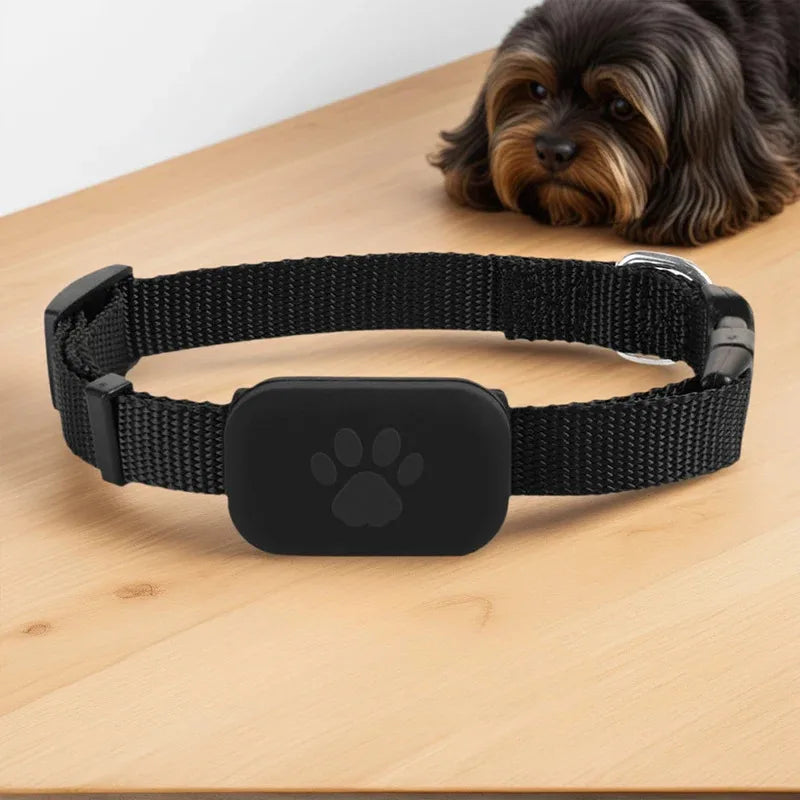 Waterproof Remote Global GPS Pet Tracker with Adjustable Collar - Anti-Loss Locator for iOS & Android