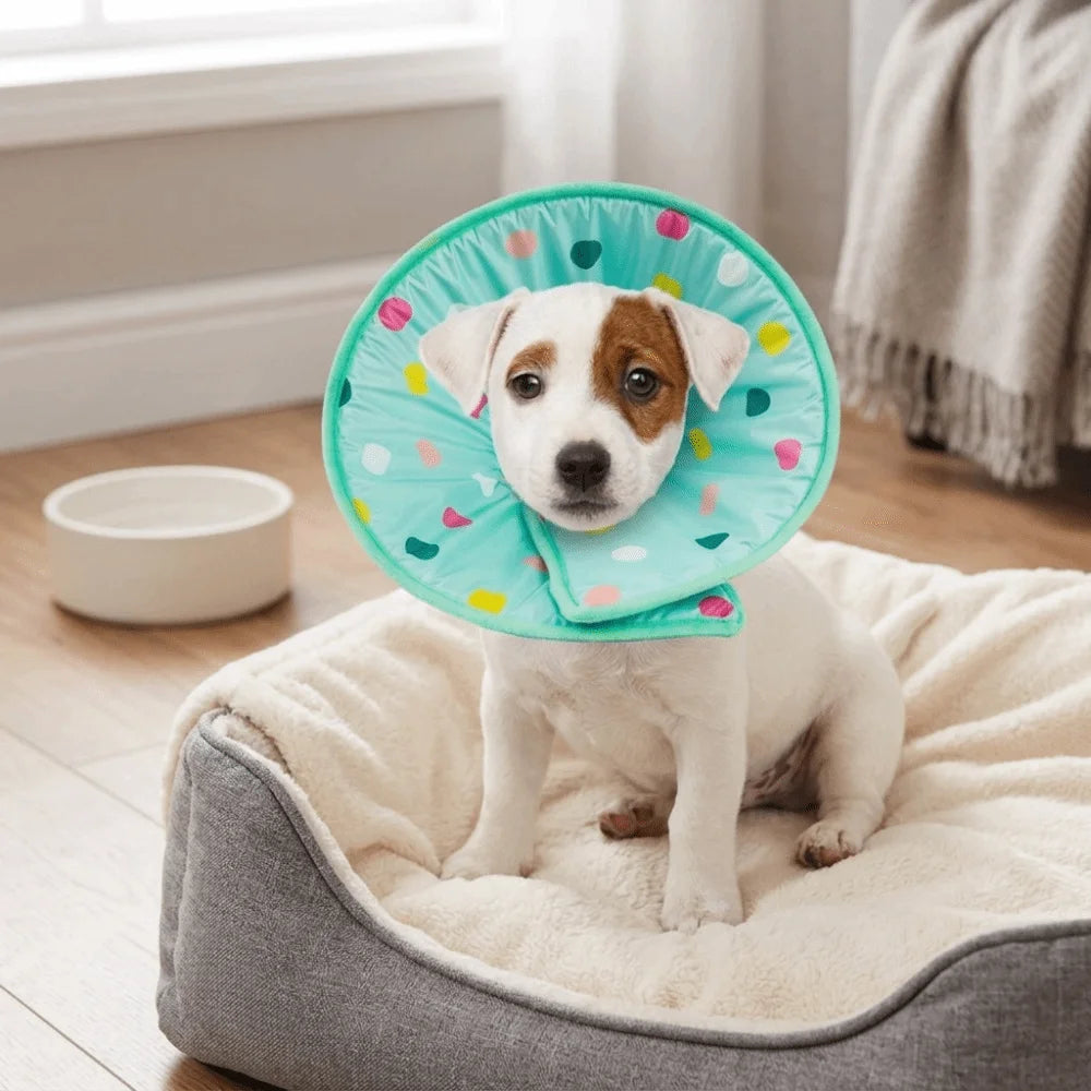 Sponge Padded Pet Recovery Ring Flexible Frame Light Weight Anti Lick Guard Polka Dot Skin Friendly Pet Recovery Wrap