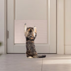 Self-Adhesive Cat Scratch Mat — Trimmable Wear-Resistant Furniture Protector Claw Pad for Couch & Sofa