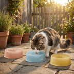 Plastic Anti-Splash Floating Dog Water Bowl (Large Capacity, Spill-Proof)